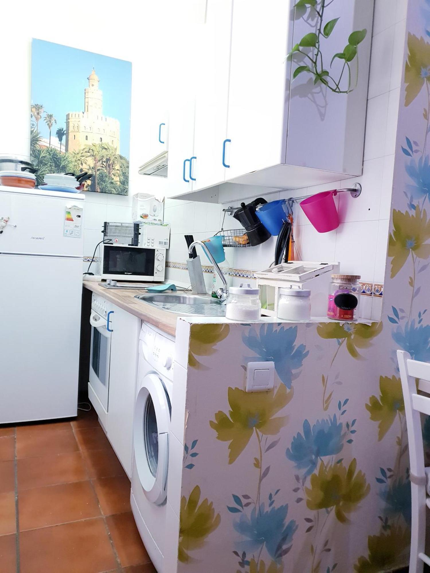 La Rana Apartamento *